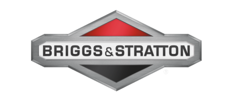 ЗАПЧАСТИ К BRIGGS&STRATTON