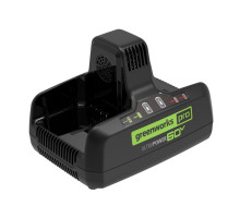 Зарядное устройство GREENWORKS G60DC10