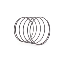 Пружина ПУЛЬСАР ПЭ42-1600