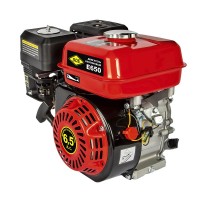 Двигатель бензиновый DDE E650-S20