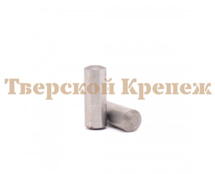 Штифт картера редуктора мотоблоки НЕВА МБ-2 Штифт картера редуктора мотоблоки НЕВА МБ-2