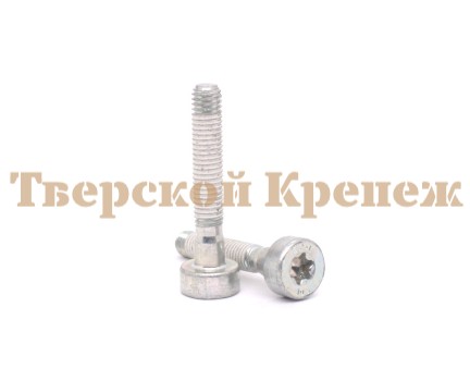 Винт с цилиндрической головкой STIHL IS M5х30 Винт с цилиндрической головкой STIHL IS M5х30