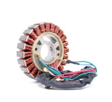 Статор генератора DDE DPG2101i