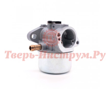 Карбюратор двигателя Briggs&Stratton 799868