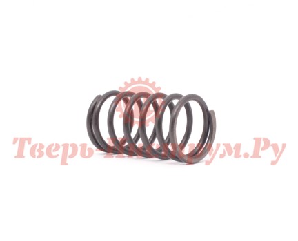 Пружина клапана двигателя DVO130/150/170 Пружина клапана двигателя DVO130/150/170