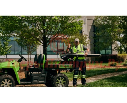 Воздуходувка аккумуляторная ранцевая GREENWORKS GC82B13 Воздуходувка аккумуляторная ранцевая GREENWORKS GC82B13