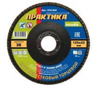 Круг лепестковый торцевой ПРАКТИКА 125х22 P36