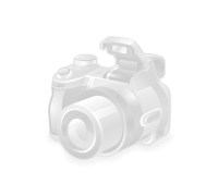 Сегмент вентилятора маховика DDE GS400/16"
