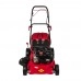 Газонокосилка бензиновая DDE LM 51-60 DB (BRIGGS & STRATTON)