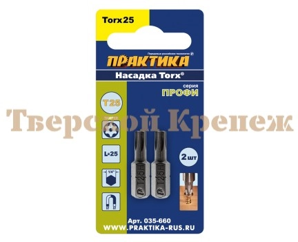 Бита отверточная ПРАКТИКА ПРОФИ TORX T25х25 2 шт Бита отверточная ПРАКТИКА ПРОФИ TORX T25х25 2 шт