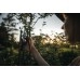 Секатор плоскостной FISKARS Plus™ PowerLever P721