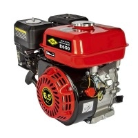 Двигатель бензиновый DDE E650-S19