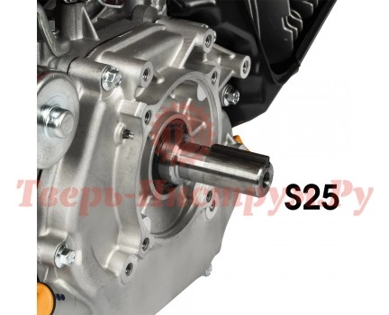 Двигатель бензиновый DDE E1300E-S25 Двигатель бензиновый DDE E1300E-S25