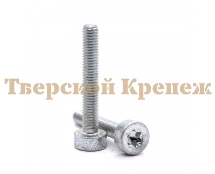 Винт с цилиндрической головкой STIHL IS M5х32 Винт с цилиндрической головкой STIHL IS M5х32