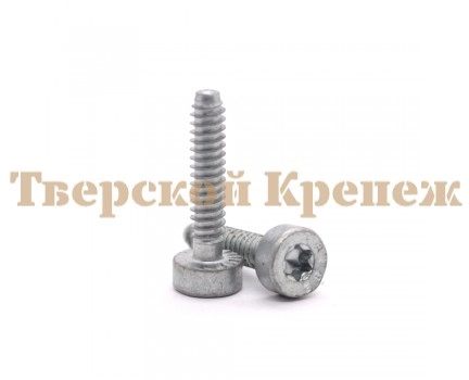 Винт самонарезной STIHL IS D5.0х24 Винт самонарезной STIHL IS D5.0х24