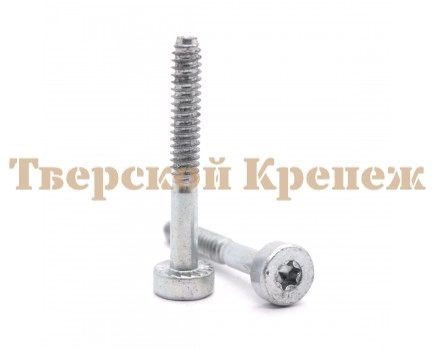 Винт самонарезной STIHL IS D5.3х41 Винт самонарезной STIHL IS D5.3х41