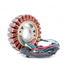 Статор генератора DDE DPG2101i