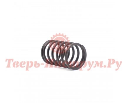 Пружина клапана двигателя T575/T8/TX Пружина клапана двигателя T575/T8/TX