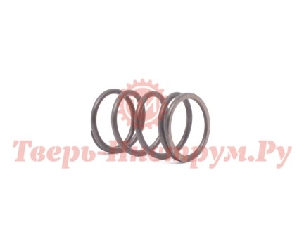 Пружина клапана двигателя RATO RV170/DV150/170 Пружина клапана двигателя RATO RV170/DV150/170