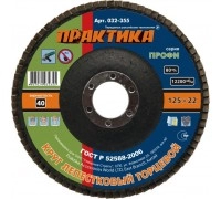 Круг лепестковый торцевой ПРАКТИКА 125х22 P40