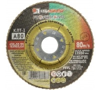 Круг лепестковый торцевой ЛУГА 125х22 P80
