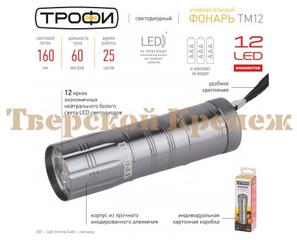 Светодиодный фонарь ЭРА Трофи TM-12